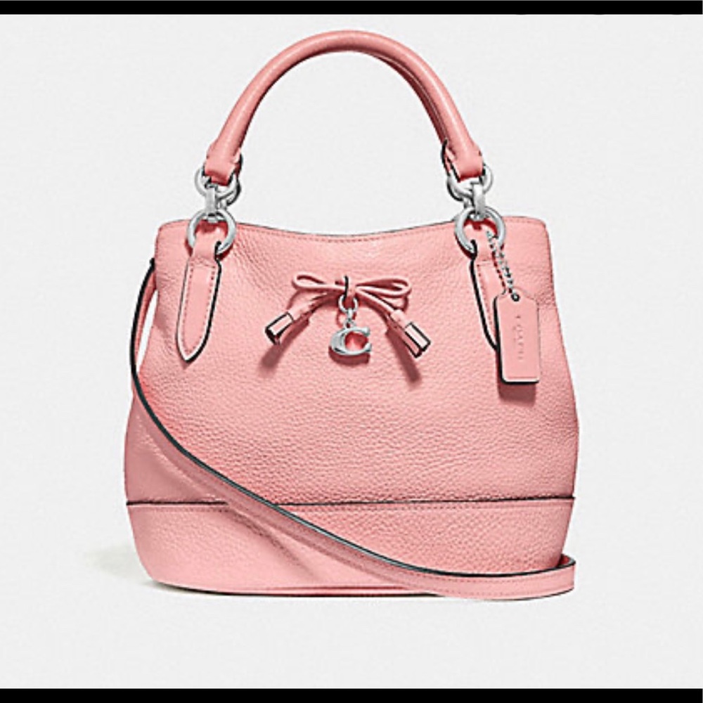 COACH Micro Ally Bucket Bag